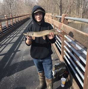 Meet your Posher, Timothy